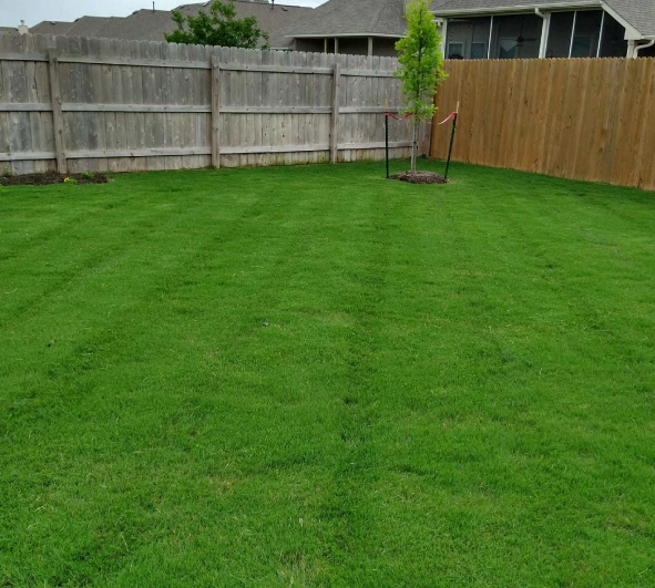 Lawn Maintenance 